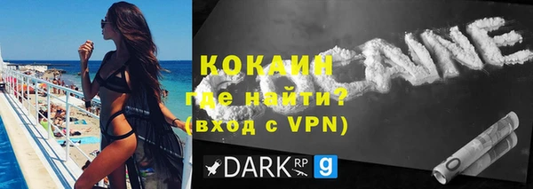 прущие грибы Аркадак