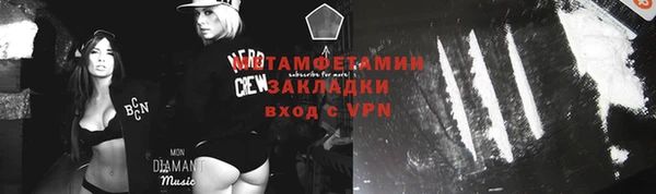 прущие грибы Аркадак