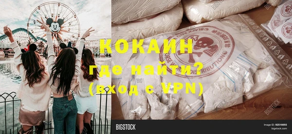 прущие грибы Аркадак