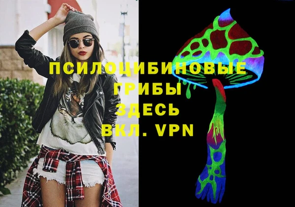 прущие грибы Аркадак