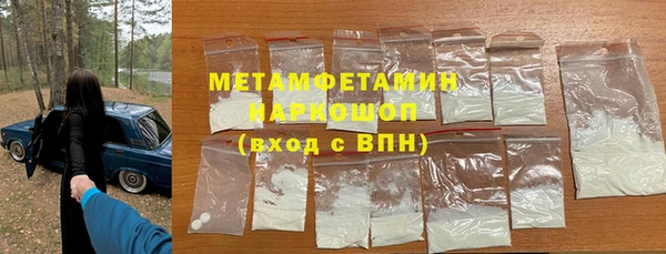 прущие грибы Аркадак