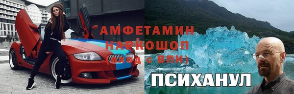 прущие грибы Аркадак