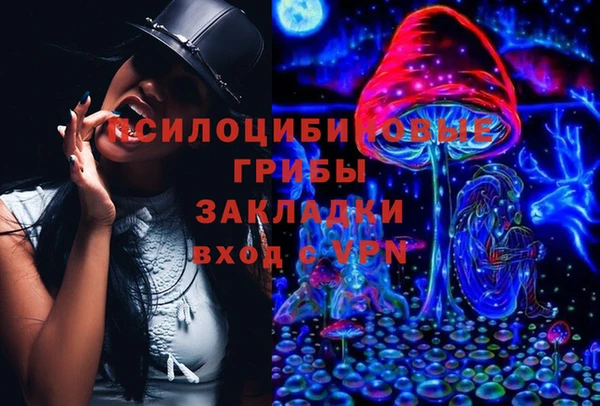 прущие грибы Аркадак