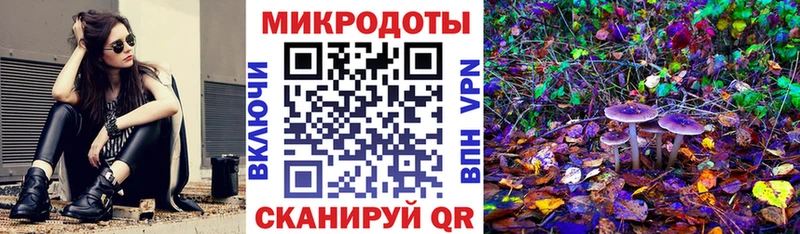 как найти наркотики Голицыно Галлюциногенные грибы прущие грибы